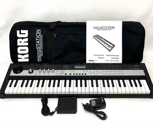 Microstation Korg | eBay