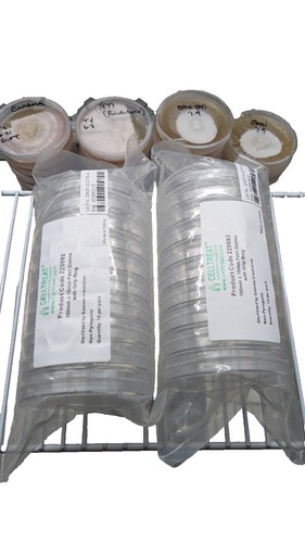 Nunc Nunclon 48-Well x 0.5mL MultiDish Cell Culture PS 150687