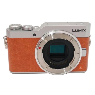 Panasonic LUMIX DC-GF9 Mirrorless Camera 4K Photo Japan Model With