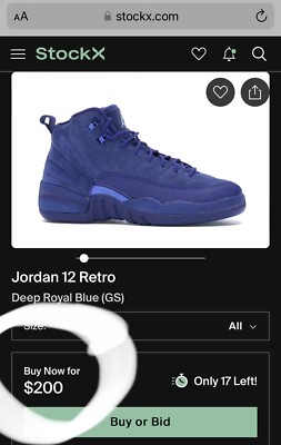 Jordan 12 Retro Deep Royal Blue (GS) Size 7Y Clean AF No Box | eBay