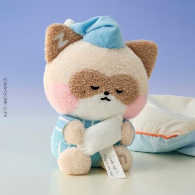 ZB1 Zhang Hao Zhanghao Hanini Line Friends Zeroni Sinsa Message