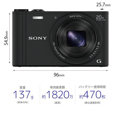 Sony Cyber-shot DSC-WX350 Digital Camera 18.2MP 20x Optical Zoom