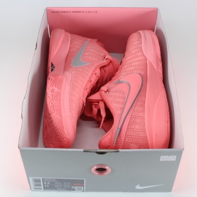 Nike Lebron 20 XX 'Pink Diamond' Silver DJ5423-600 Men's Size 9.5