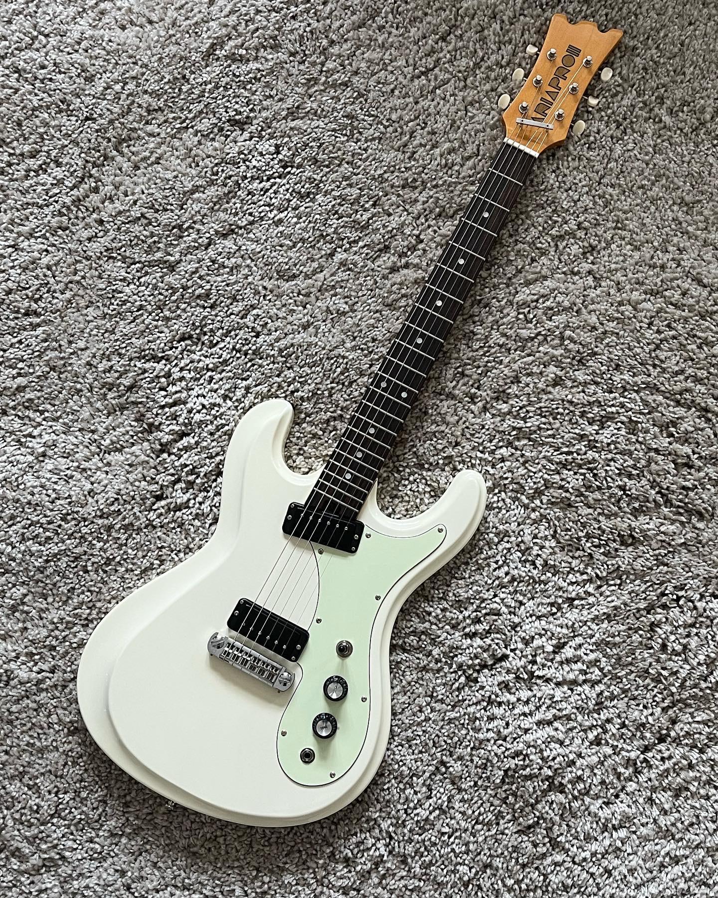 オール単板⁄Aria AF60⁄ハードケース Aria PRO II Aria Dreadnoughd