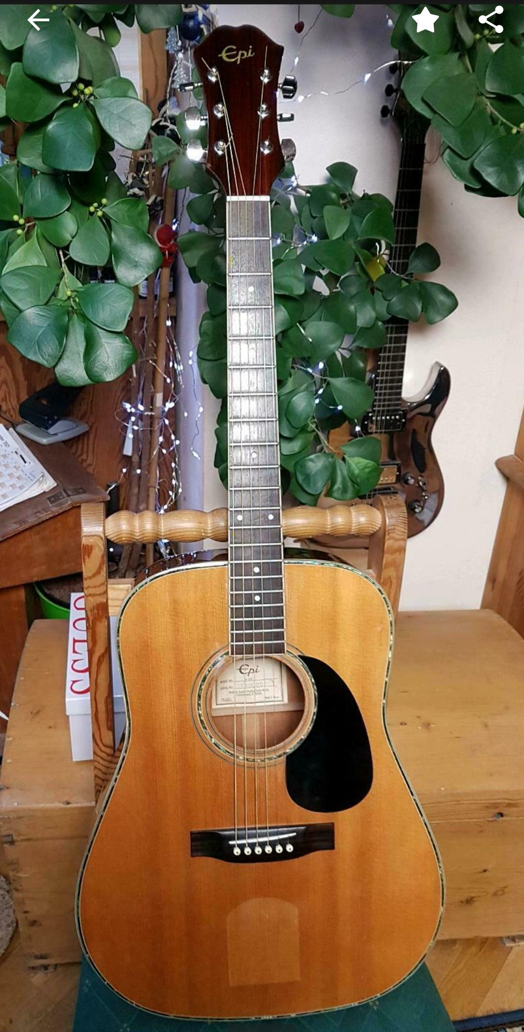 Norlin Epi D-16 - Vintage Corner - Gibson Brands Forums