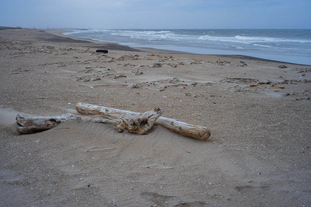 Retina-Ysarex 50mm F2.8 - 写真備忘録