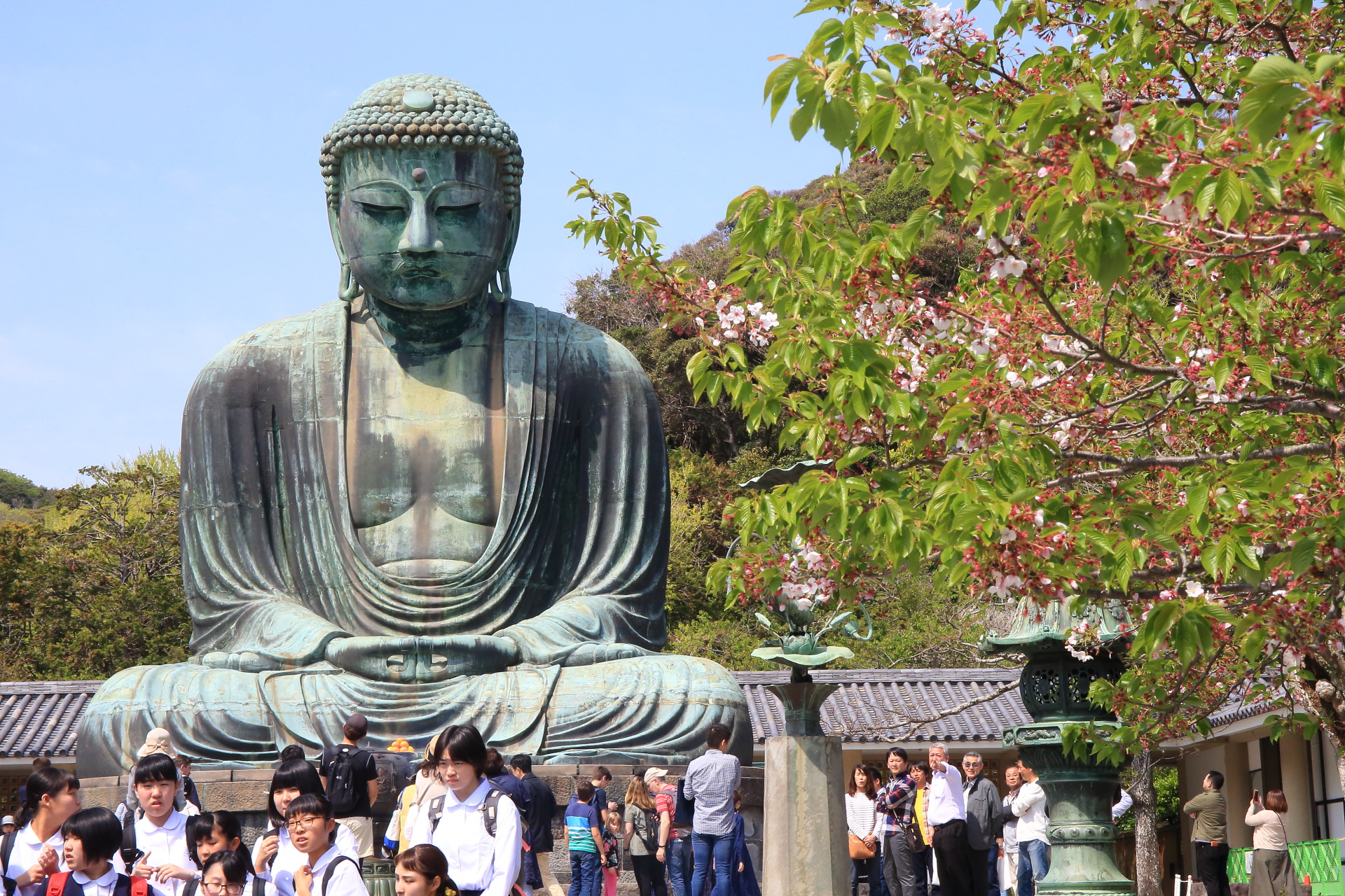 鎌倉大仏殿高徳院」鎌倉唯一の国宝仏像！高徳院の圧倒的な迫力を誇る