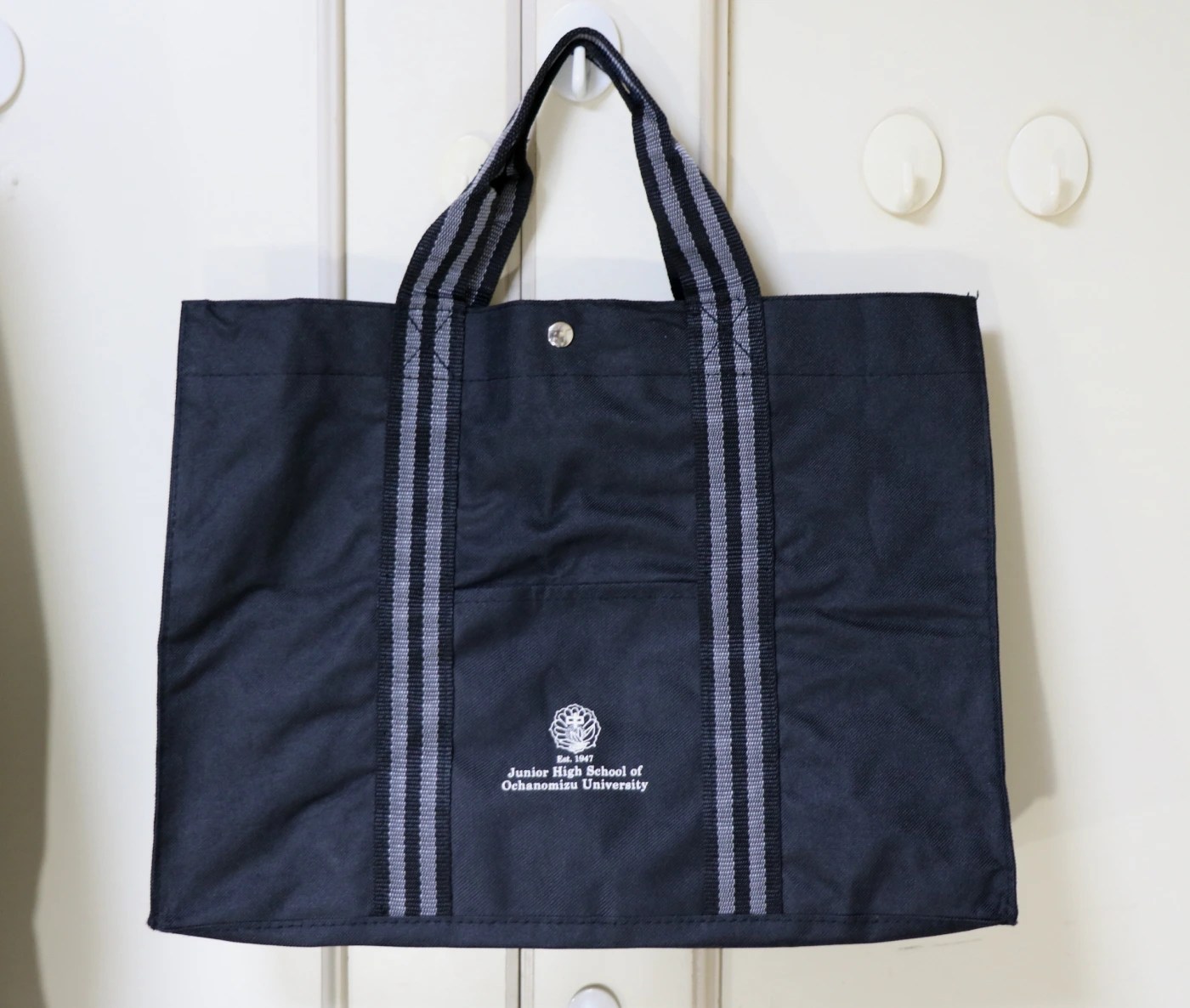 東京都文京区大塚 国立お茶の水女子大学附属中学校【こくりつおちゃの