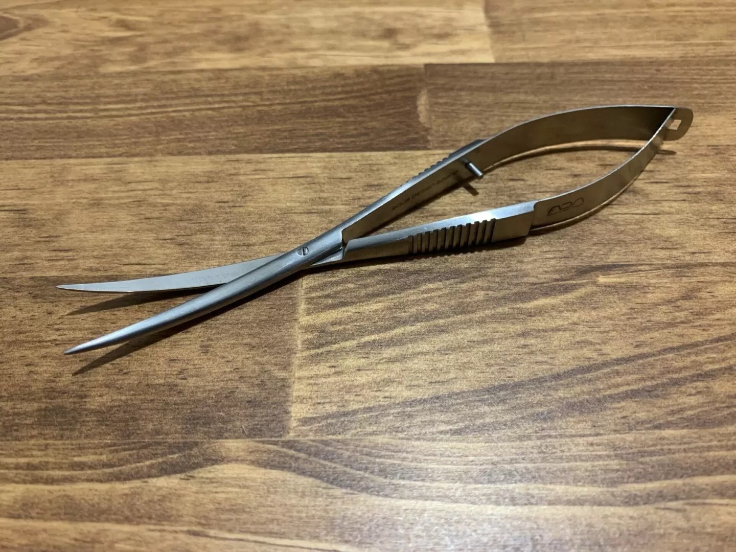 レビュー】ADA プロシザース・スプリング【アクアリウム】 - WAKAKUSA