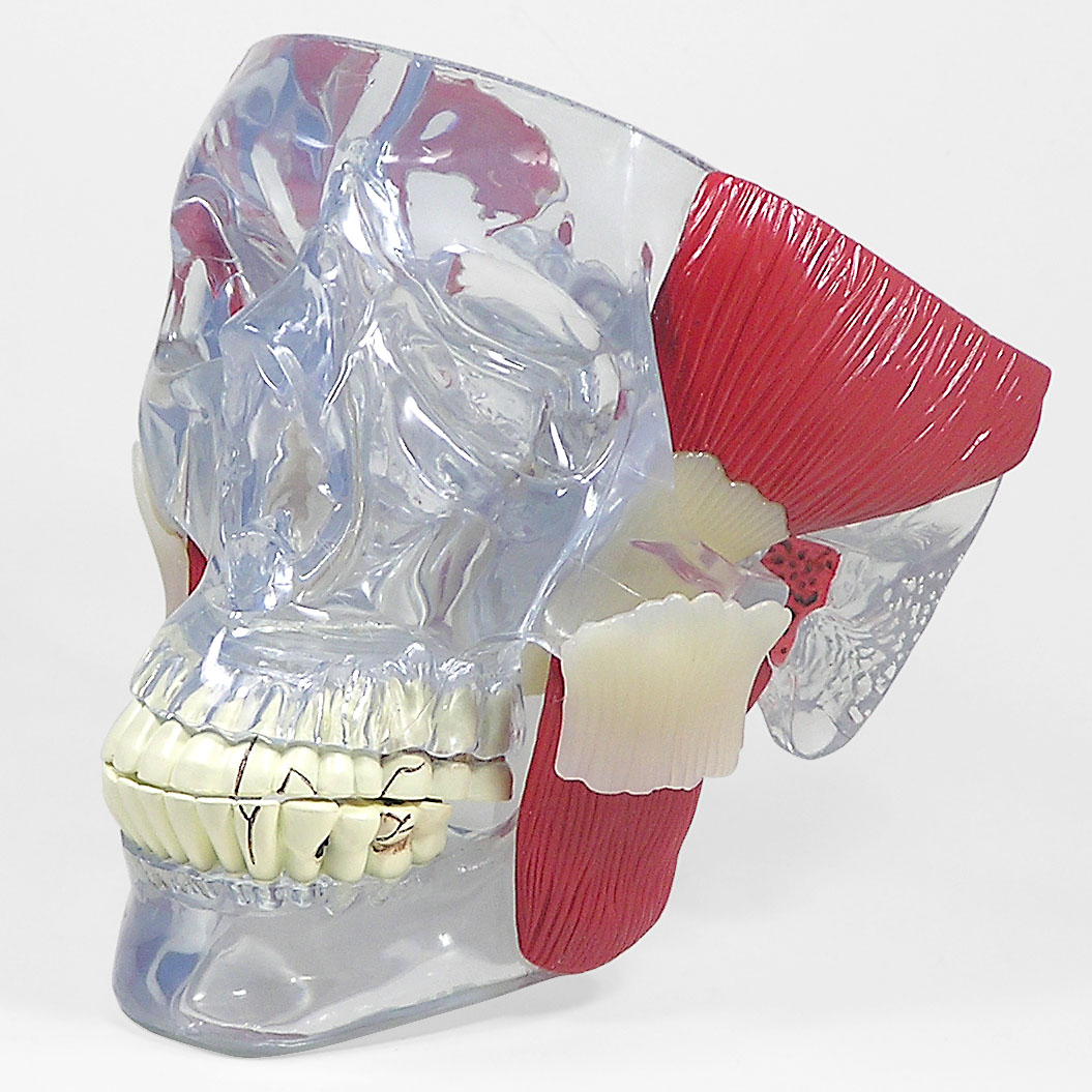 OM-GP-2880.jpg?resize=150,150&