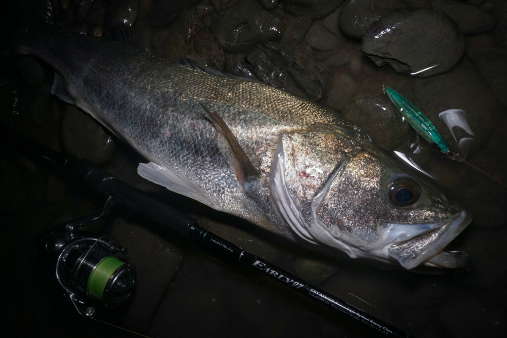 秋のハイシーズン突入】ヤマガブランクスNEWロッド「EARLY 97MMH for