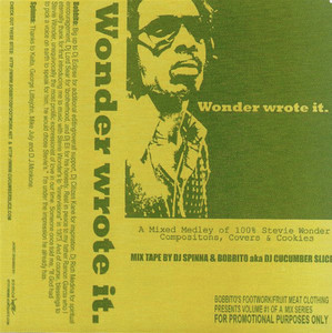 Stevie Wonder Wrote It (DJ Spinna & Bobbito aka DJ Cucumber Slice