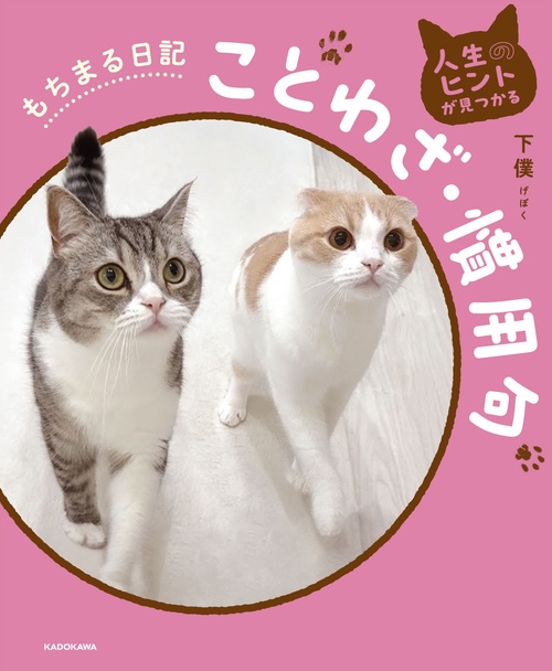 人生のヒントが見つかる もちまる日記ことわざ・慣用句 – 丸善ジュンク