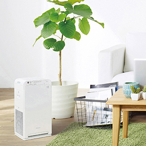 5％OFF】【送料無料】ダイキン加湿ストリーマ空気清浄機 32×32×76cm