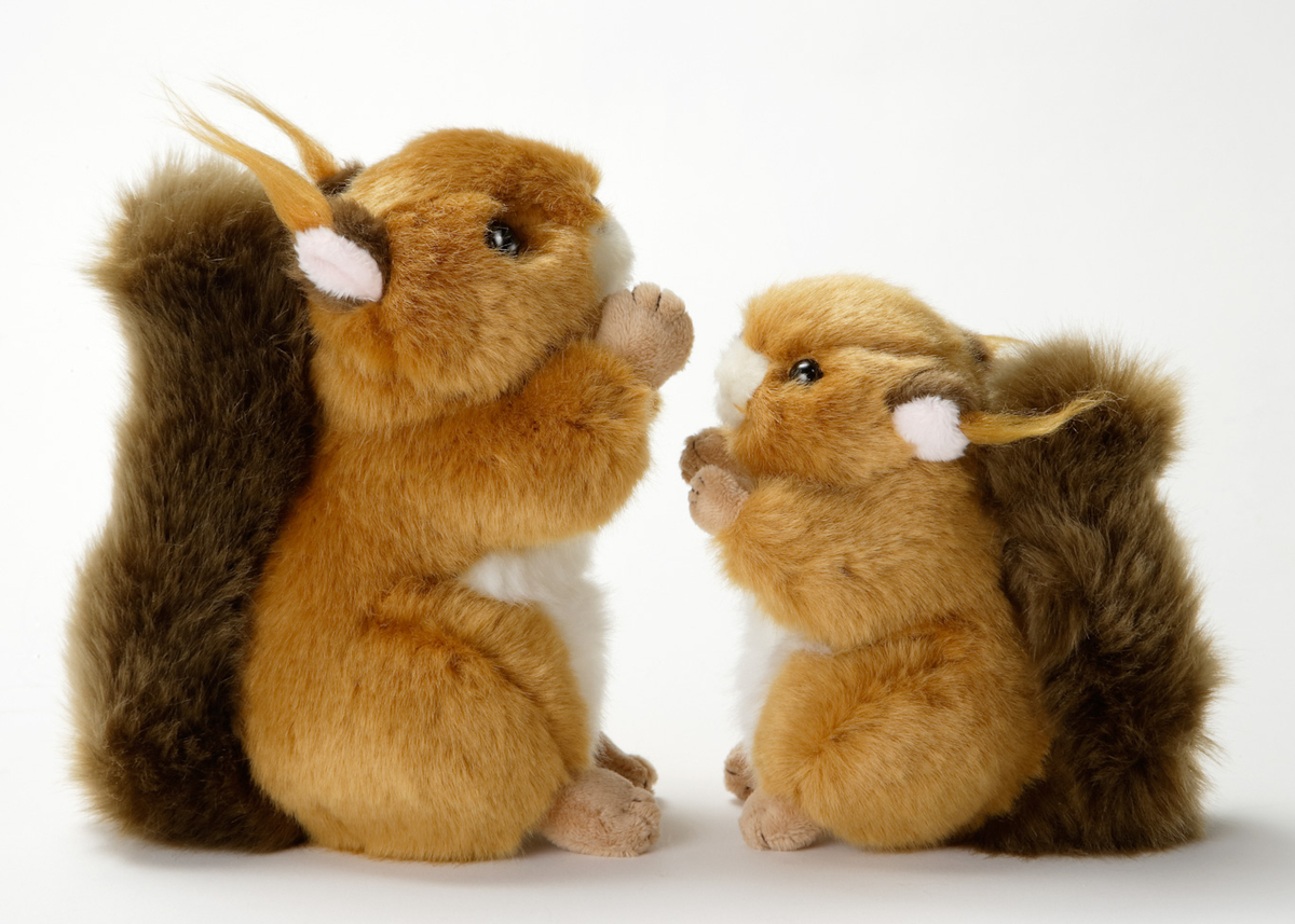 ニホンリスのぬいぐるみ | 生物園オンラインショップ