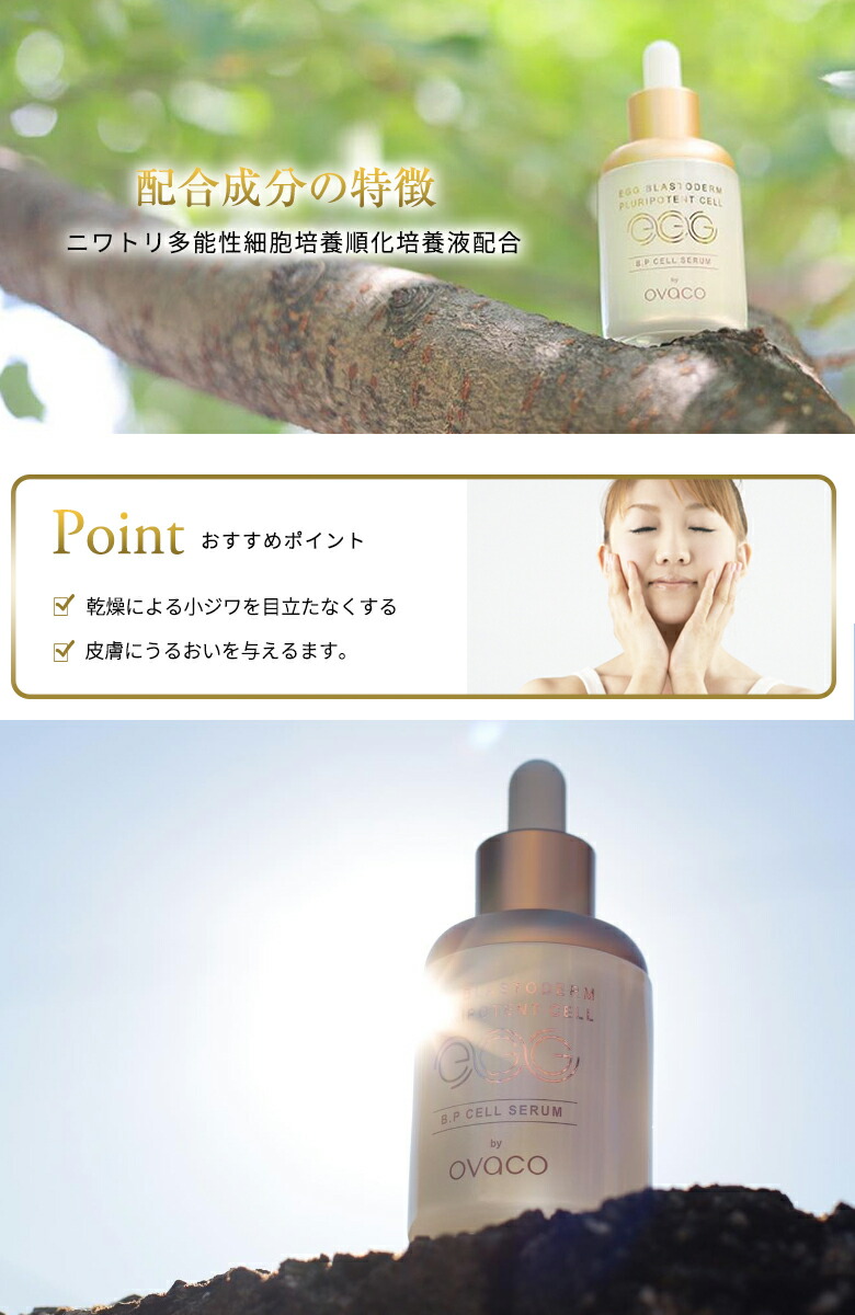 楽天市場】ovaco オバコ セラム スペシャルケア 美容液 韓国コスメ
