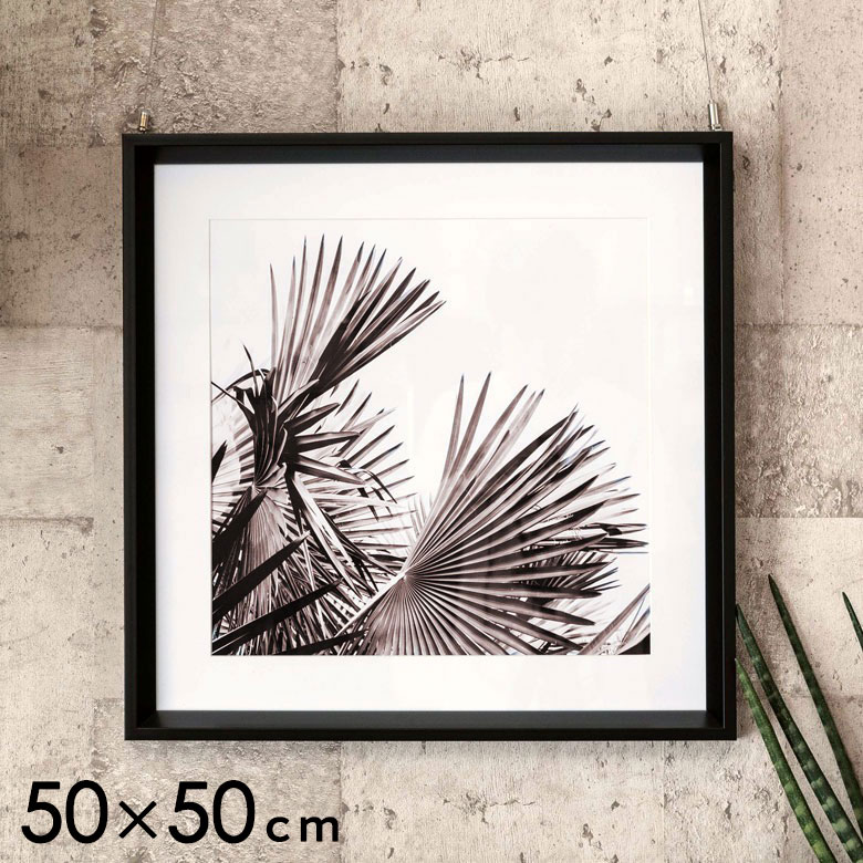 楽天市場】アートフレーム モノトーン ボタニカル リーフ 50×50cm