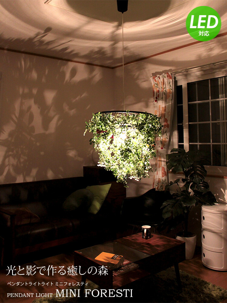 ミニ フォレスティ [Mini Foresti] – BeauBelle本店