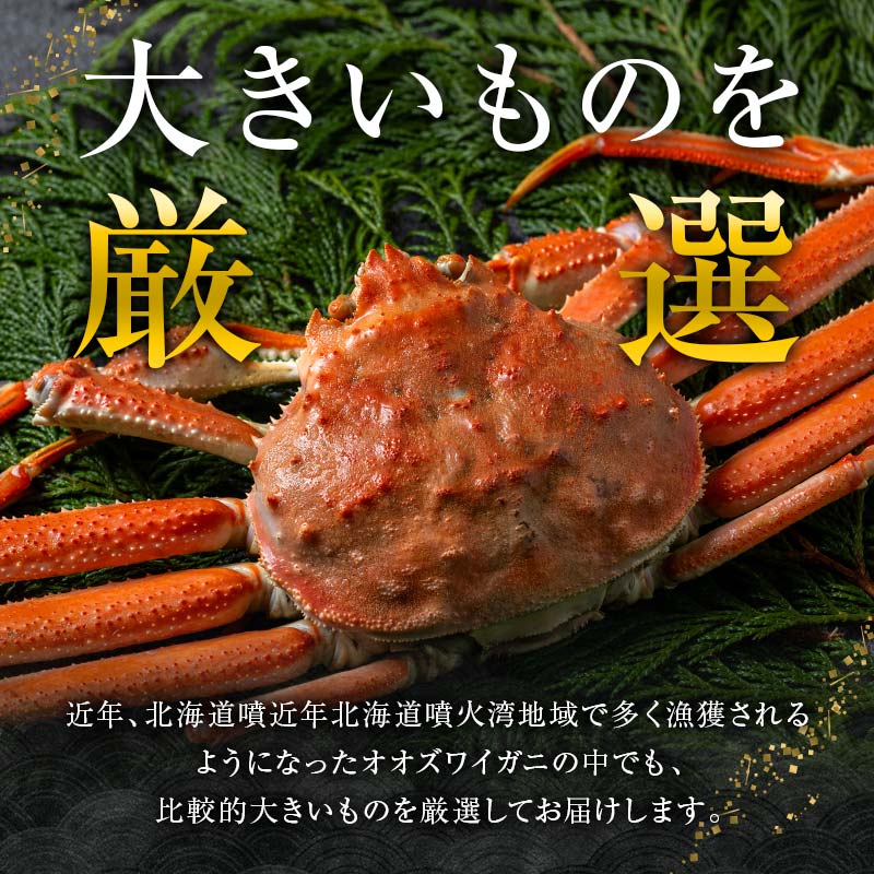 楽天市場】【ふるさと納税】＼正規品・訳ありが選べる／ 茹でオオ