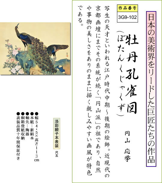 掛け軸-牡丹孔雀図／円山 応挙(尺五横) 床の間 和室 お洒落 モダン