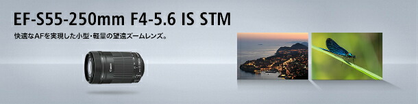 楽天市場】キヤノン EF-S55-250mm F4-5.6 IS STM 望遠ズームレンズ