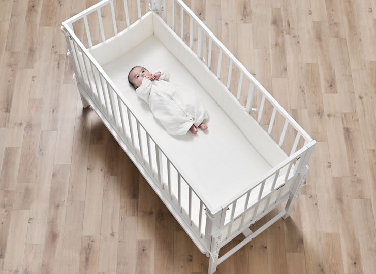 楽天市場】【3/1限定！税込5000円以上購入で500円OFFクーポン】そい