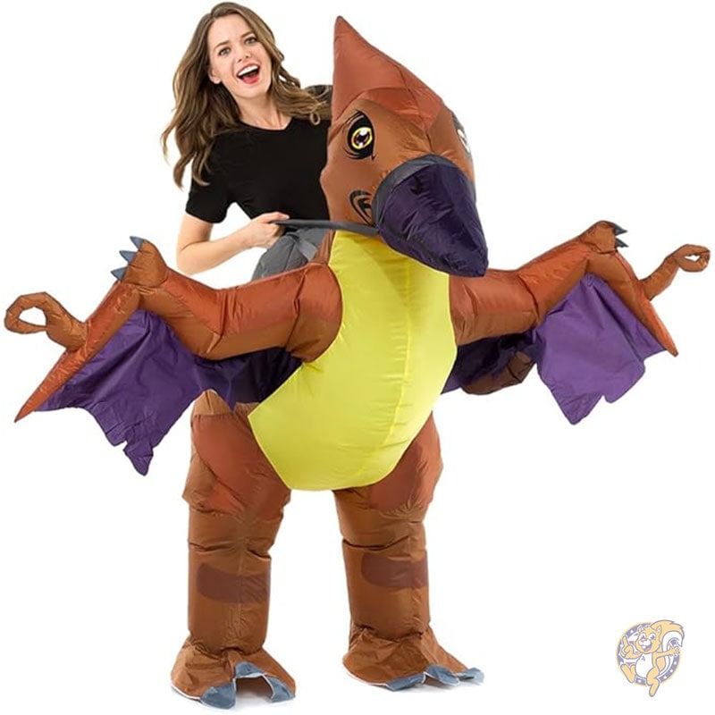 楽天市場】Disguise 大人用 エアコス ミニオン 空気で膨らむ