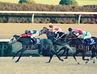 オグリキャップ、ラストランで優勝（1990年12月） TV・出版・報道向け