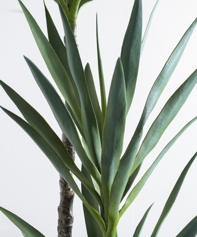 ユッカラン4L アーティフィシャルグリーン 観葉植物 ギフト プレゼント