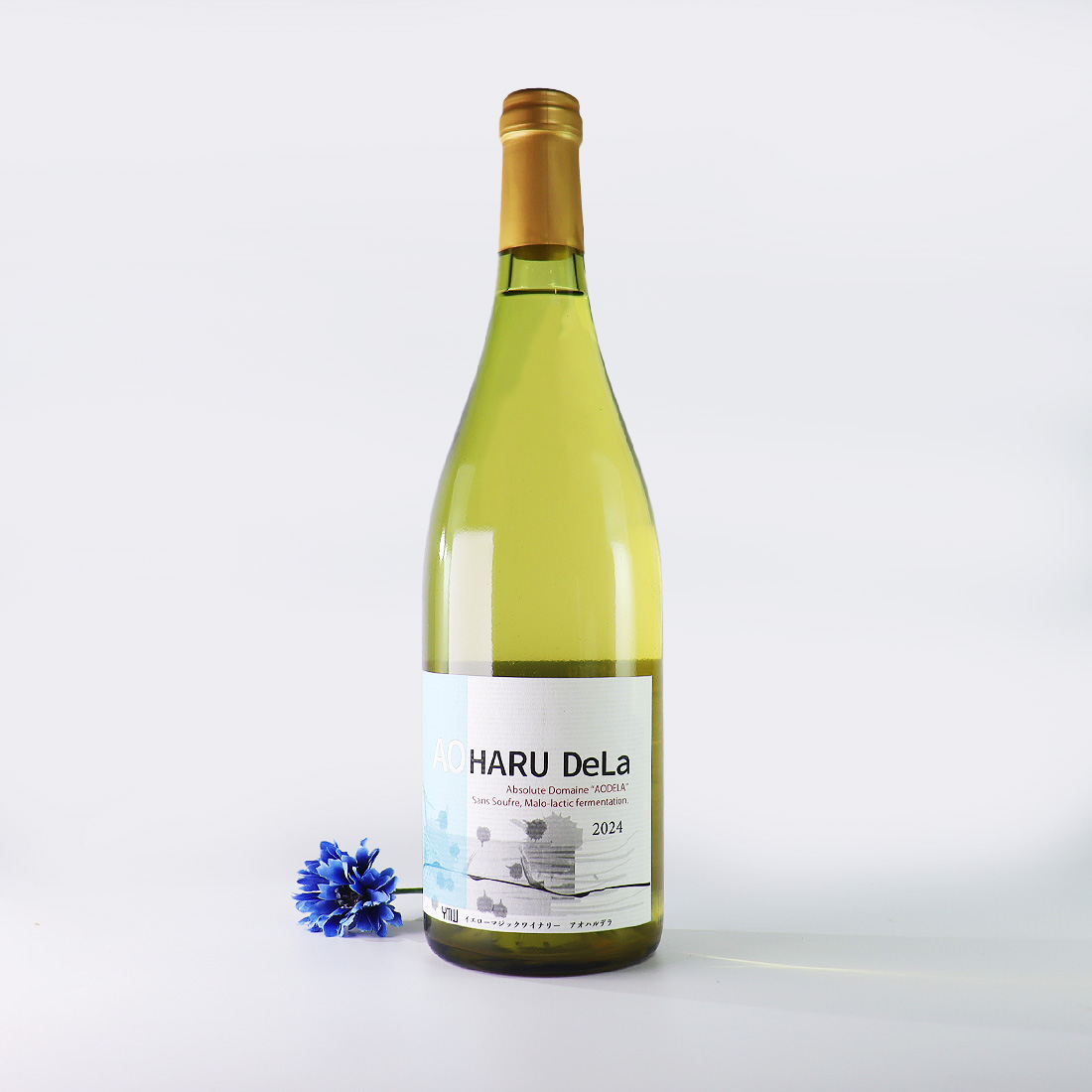 AOHARU DeLa アオハル 2024 750ml | Yellow Magic Winery