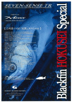 G-CRAFT モンスターサーフオープンエリアシンペンスペシャル MMS