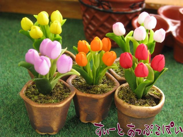 クリックポスト可】鉢植えチューリップ 選べるカラー SMFL083-87