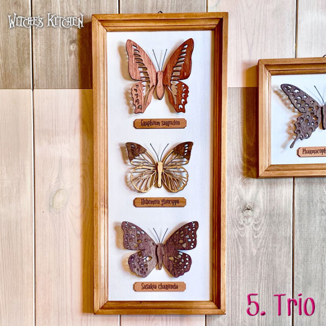 ウィッチーズキッチンのアートフレーム 【 蝶の標本箱 butterfly