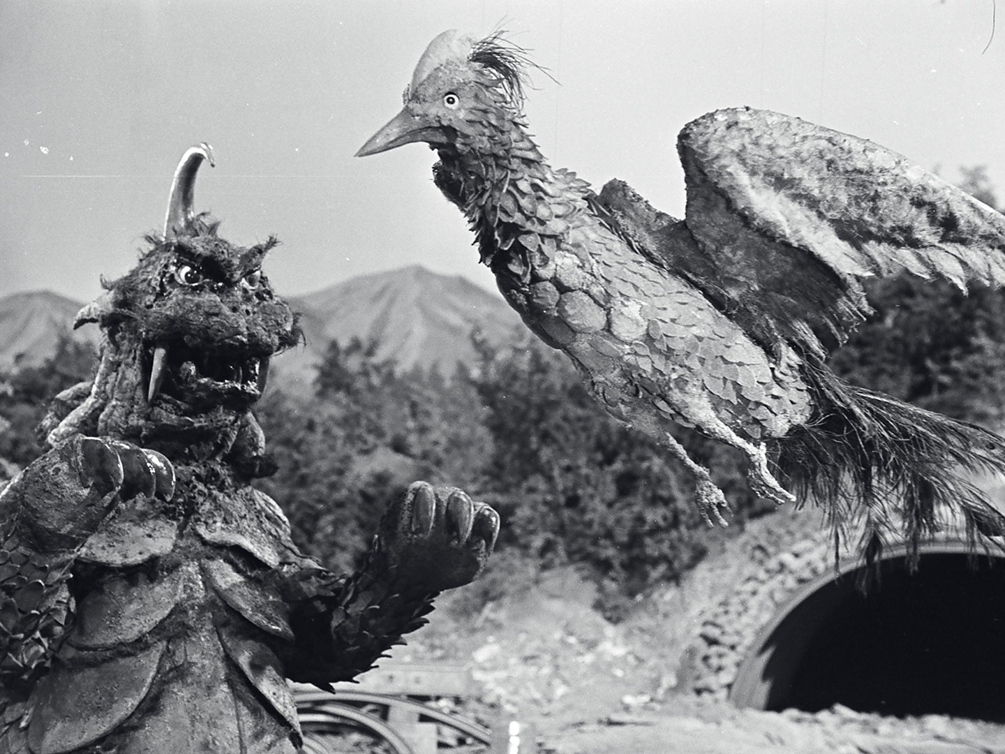 ウルトラQ 第20話| バンダイチャンネル｜最新作から不朽の名作まで