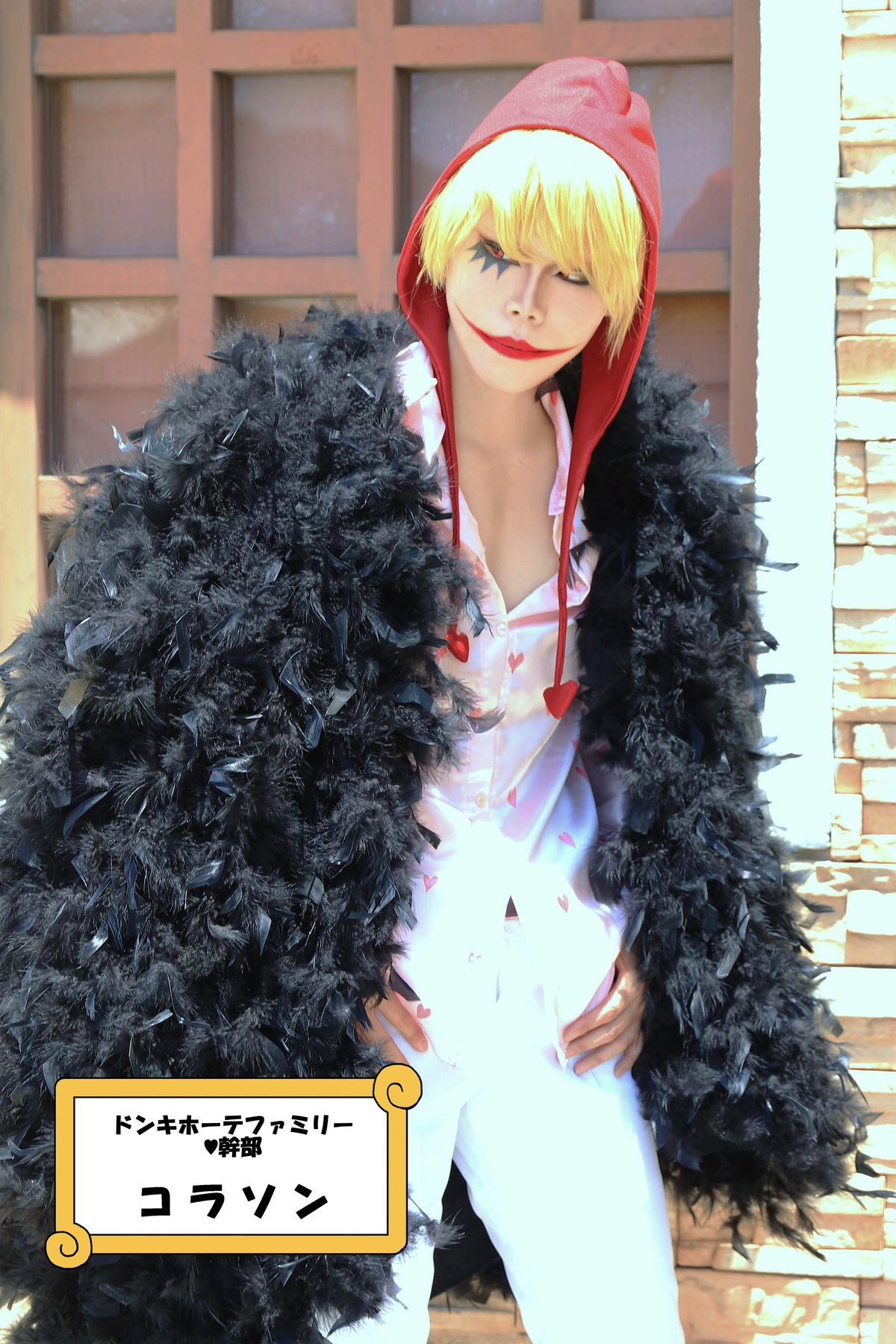 ONE PIECE コラソン - コスプレイヤーズアーカイブ