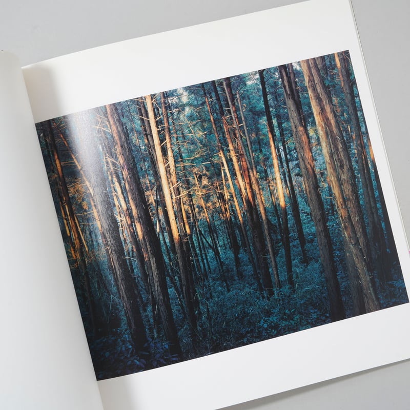 The Art of Reading ローレンスシュワルツヴァルド 写真集 * 【公式通販】