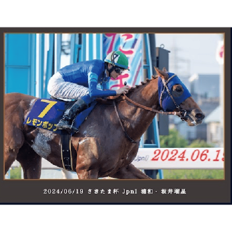 数量50個限定】レモンポップ引退記念写真デザインパネル（シリアル