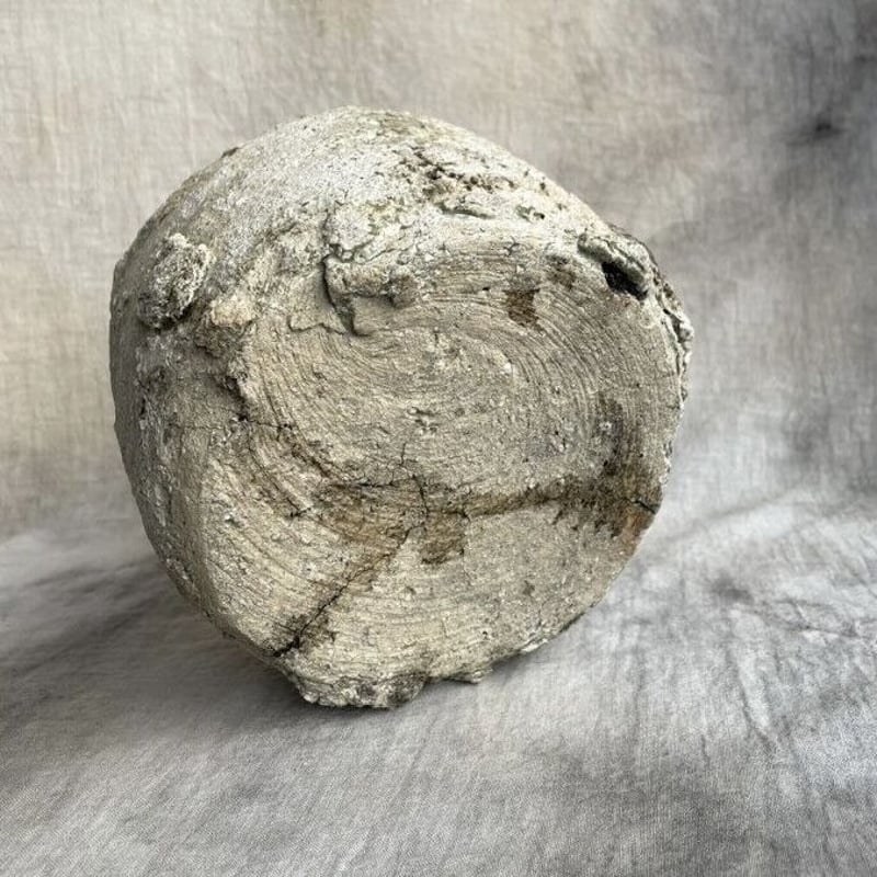 信楽 匣鉢 | Antiques そらんじ