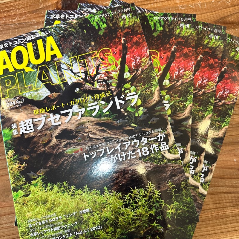 アクアプランツ AQUA PLANTS No.1～No.12 アクアライフ増刊 【公式通販】