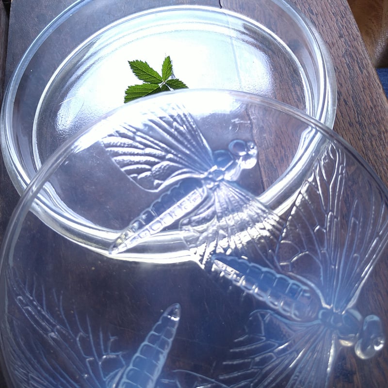 R.Laliqueルネ・ラリック1921年トンボのボンボン入れオパールセント