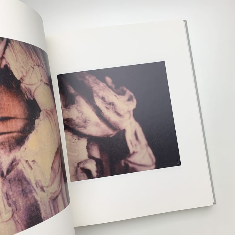 サイ・トゥオンブリーの写真 変奏のリリシズム | 玄玄書林