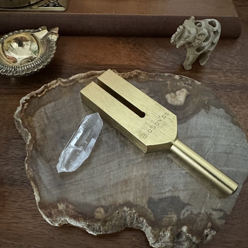 BIOSONICS社製ゴールデンレムリアンチューナーセット | Native Stellar