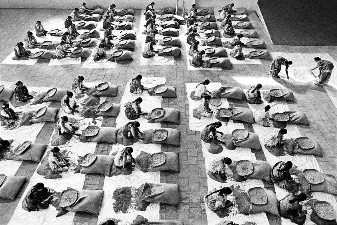 Why This Photographer Took 12 Years To Shoot Coffee Growers Around