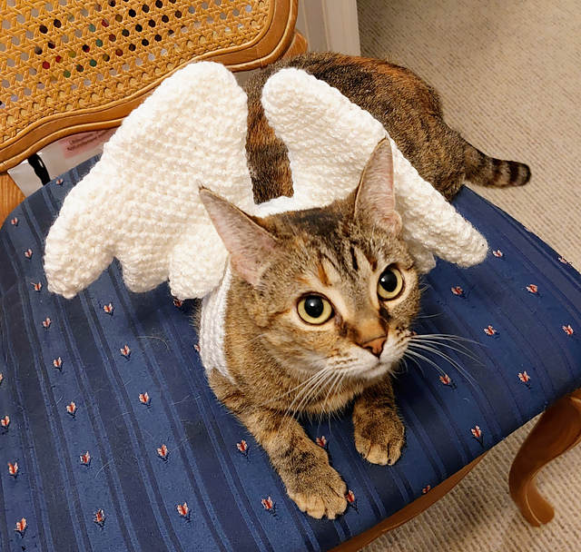 Ravelry: Wings for your Cat pattern by Wendy Slack