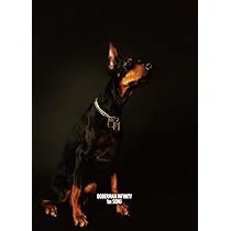 Amazon.co.jp: 1st SONG(CD+DVD)(初回生産限定) - DOBERMAN INFINITY