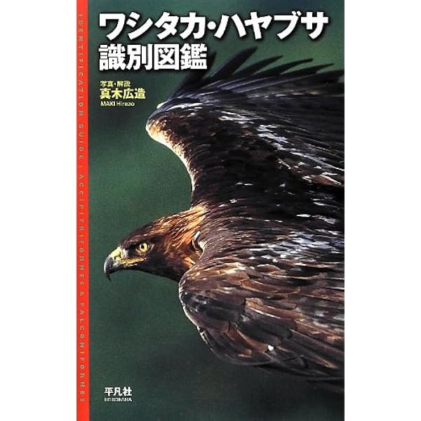 猛禽類学 | 山崎 亨 |本 | 通販 | Amazon