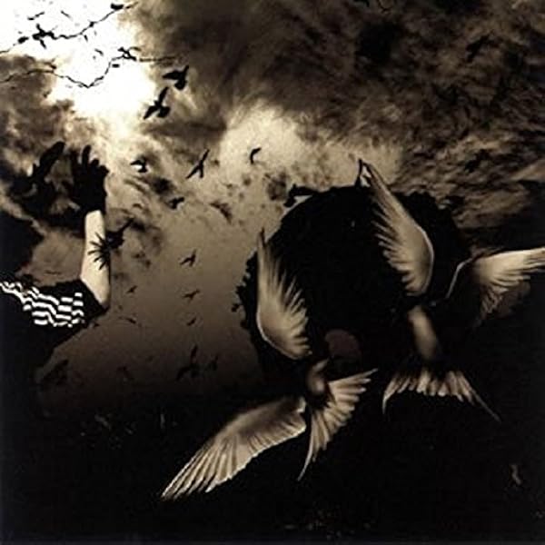 Amazon.co.jp: HELLO COMPLETE SINGLES AND PV COLLECTION - PIERROT