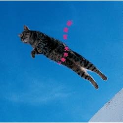 Amazon.co.jp: 矢野顕子+TIN PAN PART II さとがえるコンサート (完全