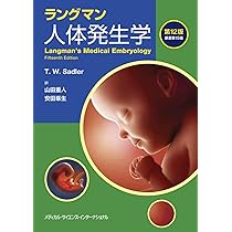 ムーア人体発生学 原著第11版 | K.L.Moore, 大谷 浩, 小川 典子, 松本
