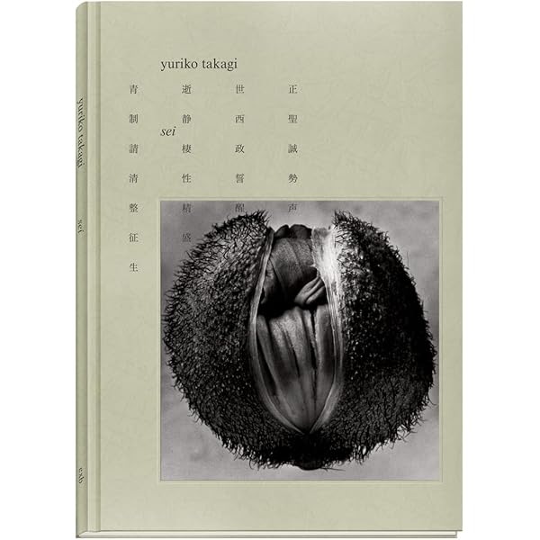 Amazon | Dior by Yuriko Takagi | Takagi, Yuriko, Koike, Kazuko